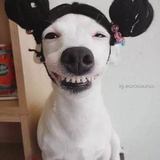 爱笑的BOY