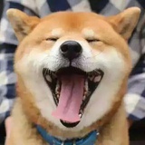 爆炸的摄影师