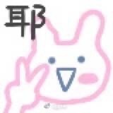 虫虫