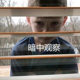 马克姨母