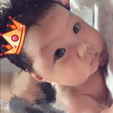 书荒部落
