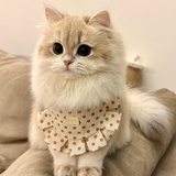 要努力变强