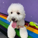 sophie