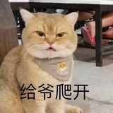 看什么看