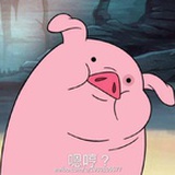 平胸零波丽