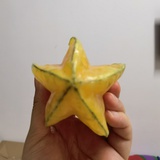 爱学习的小地主