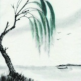 染柳烟浓