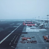 恰同学奔弎