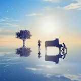 倾芳夜泽