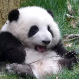 嗯呐