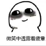 大脸猫爱husky