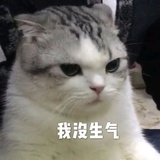 叭叭小能手