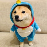 竹叶青