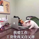 造天宇
