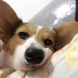 江苏银行 马潇