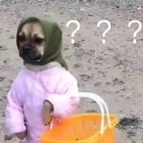 The