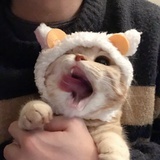 酸奶啊