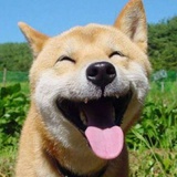 马大赫