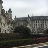 荣誉叫做忠诚