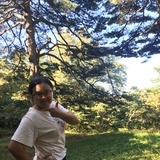 敏敏
