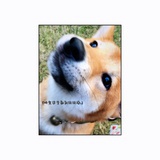 休与戚