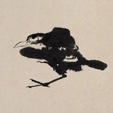 鱼又欠