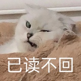 突兀食堂