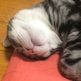 豆友
