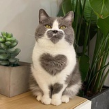 。
