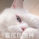 不能再买了