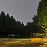 碎雨