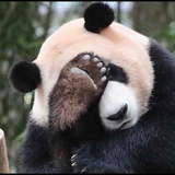 漫漫