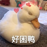 豆瓣新人