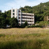 棣
