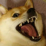 荒城挽歌