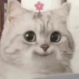 今天绝不熬夜了