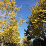 美丽小心机