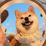 赵yq