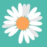 seekingfar