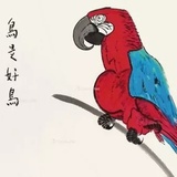星羽