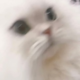 陈睿（阉割版