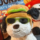 热血无赖！！！