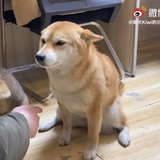 看我头像你怕吗