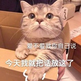 坚硬锅贴