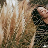 魍儿哒