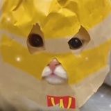 魔法奇缘