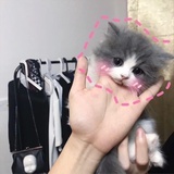 大西洋泡澡的我