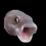 看不進書怎麼辦