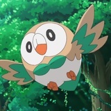 疏篱zz