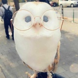 邻 天